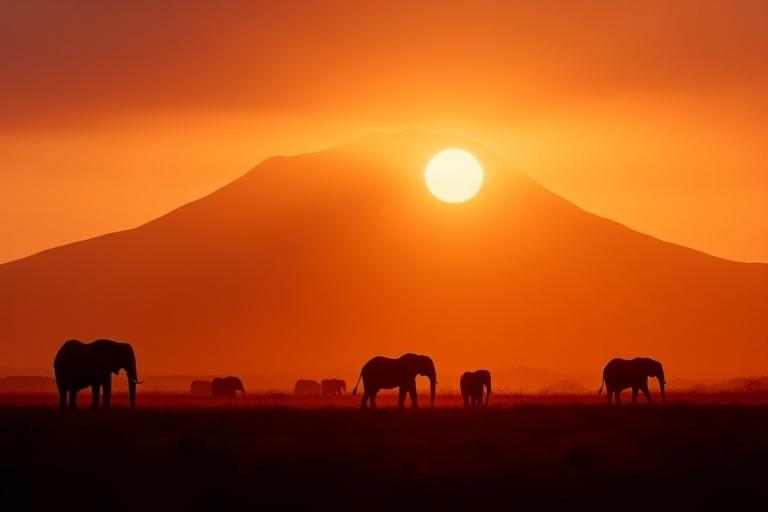 Groupe d'éléphants devant le Kilimandjaro en Tanzanie.